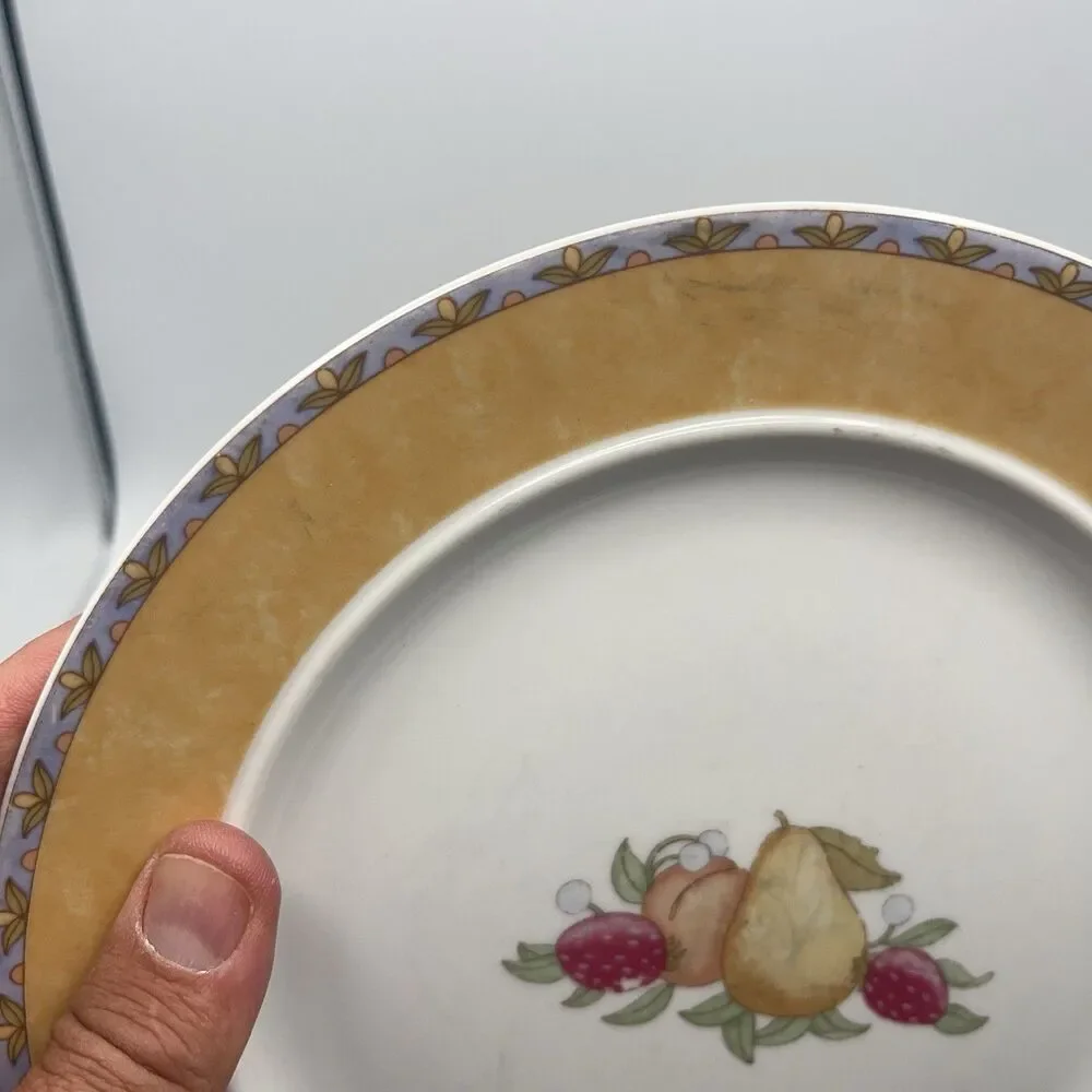 5 - DANSK Fiance Fruits Dinnerware 9 Inch Lunch Plates